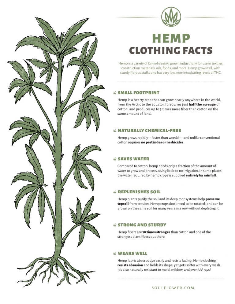 Hemp Clothing Benefits - A Sustainable Choice! - Soul Flower Blog