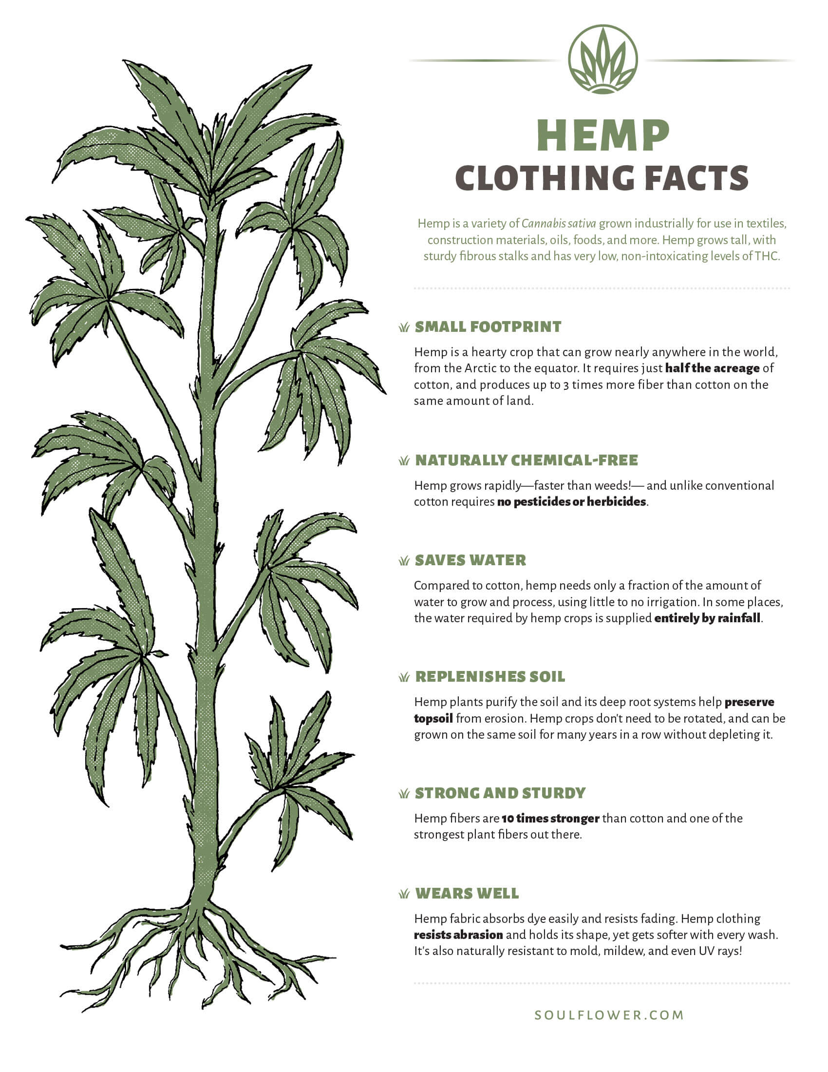 The Advantages and Disadvantages of Hemp Fabric