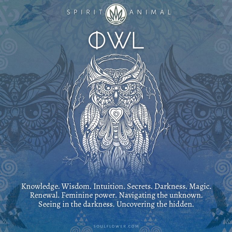 Owl 768x768 