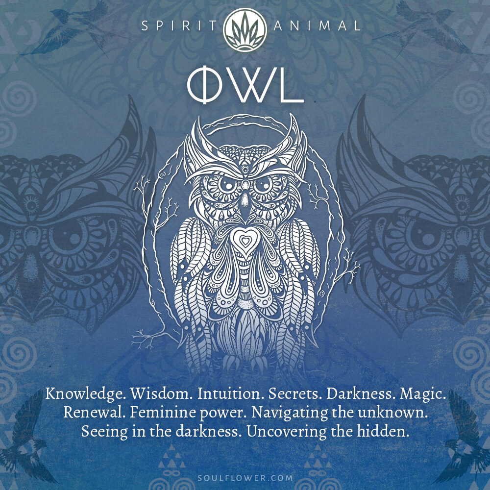 Owl Symbolism Owl Spirit Animal Soul Flower Blog